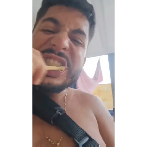 Ham Animadas  3