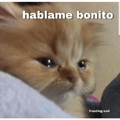 👨👨👨👨👨👨👨🇰🇷🗣️🎤 21