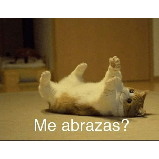 👨👨👨👨👨👨👨🇰🇷🗣️🎤 23