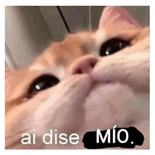 👨👨👨👨👨👨👨🇰🇷🗣️🎤 19