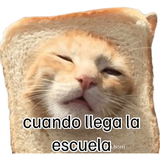 1533333171.png
