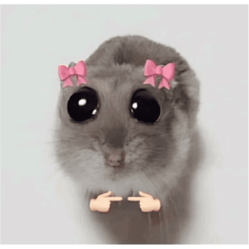 Giovanna 6