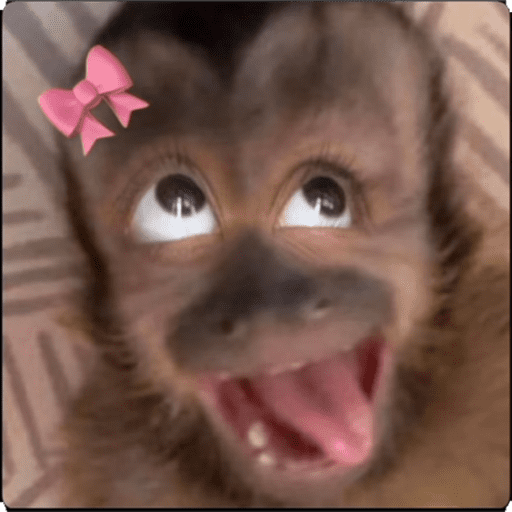 Giovanna 5