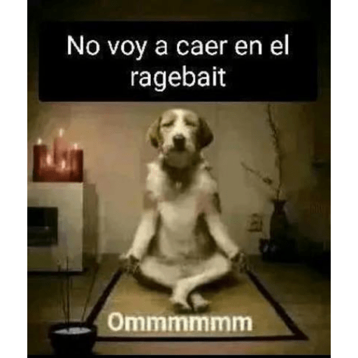 No caeré en el ragebait  1