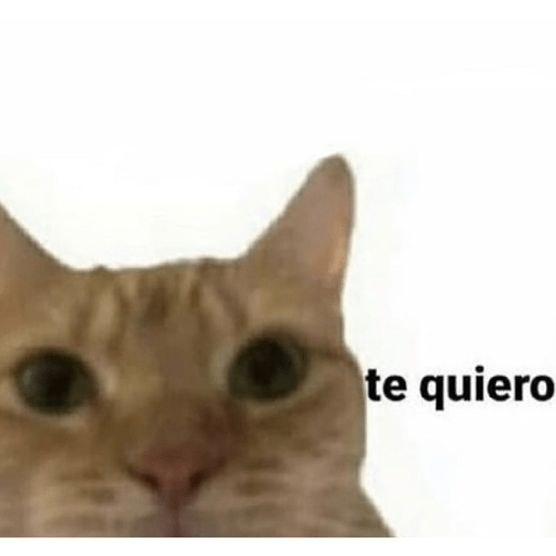 Stickerd bonitos 12