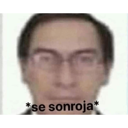 Stickerd bonitos 9