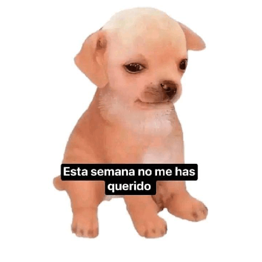 Para decir a tu amorcito😍🫶🏼 23