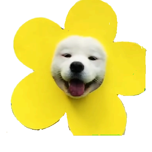 Doggo Memes sticker