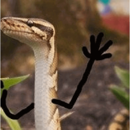 funny snakes