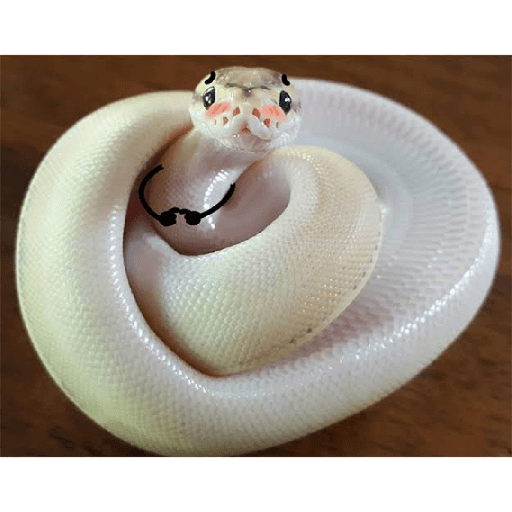 funny snakes - WASticker