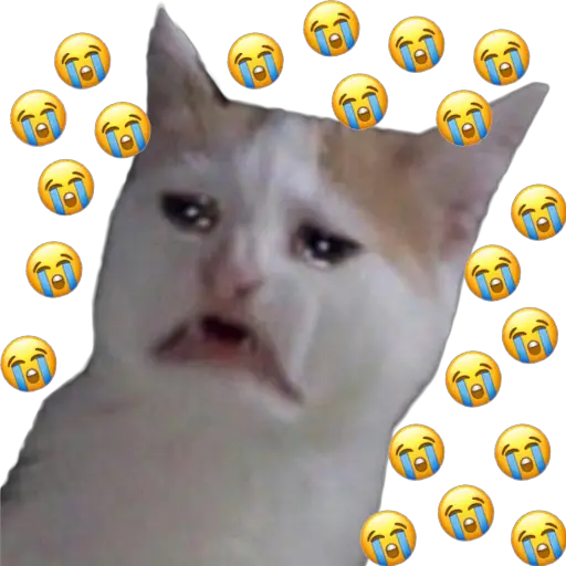 Gatitos Sad