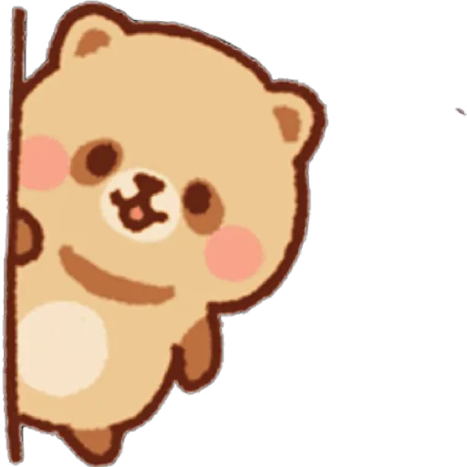 Mapache