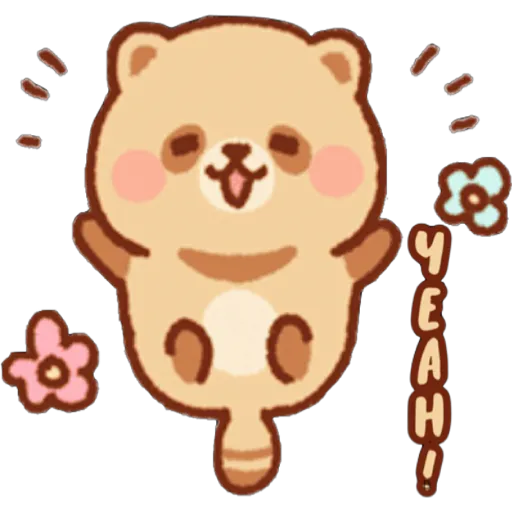 Mapache 13