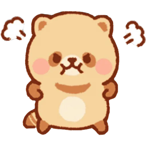 Mapache 14