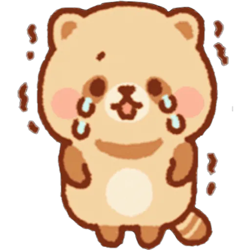 Mapache 15
