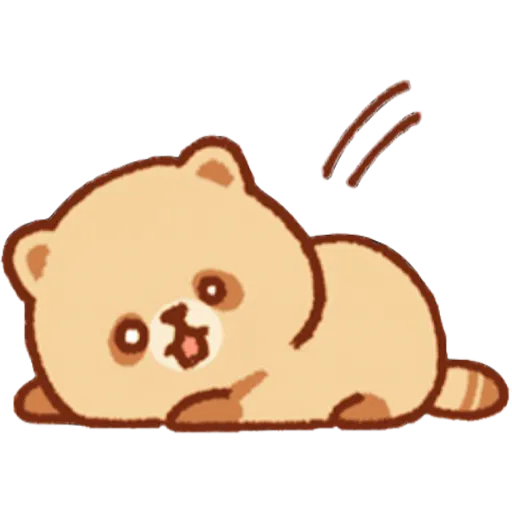Mapache 16