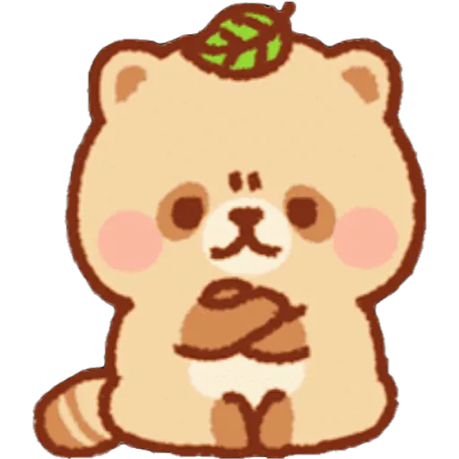 Mapache 17