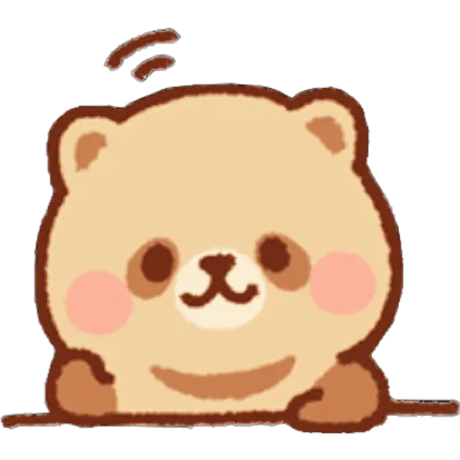 Mapache 18