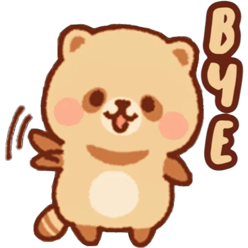 Mapache 19