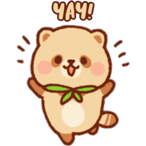 Mapache 23