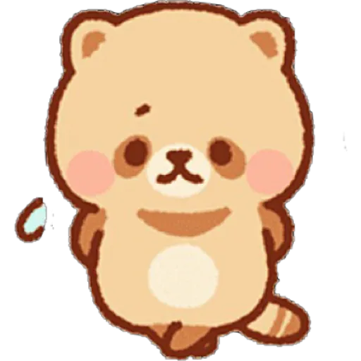 Mapache 24