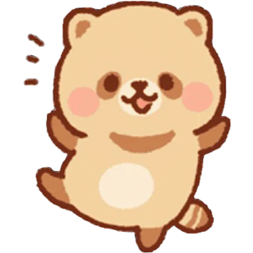 Mapache 29