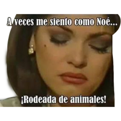 Soraya Montenegro 24