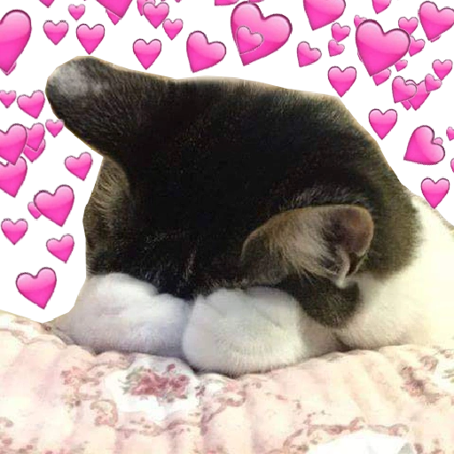 Cats Hearts sticker