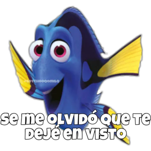 Dory olvidadiza 3