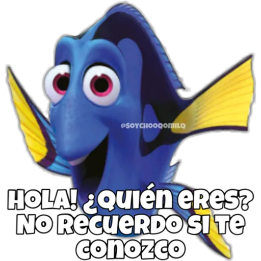 Dory olvidadiza 4