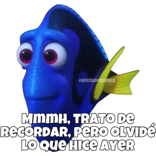 Dory olvidadiza 6