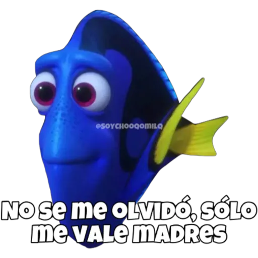 Dory olvidadiza 10