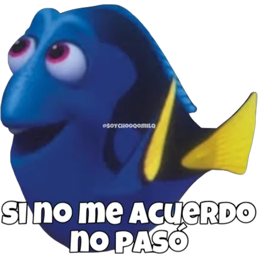 Dory olvidadiza 11