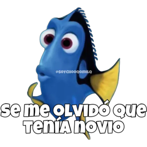 Dory olvidadiza 12