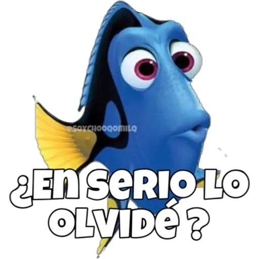 Dory olvidadiza 13