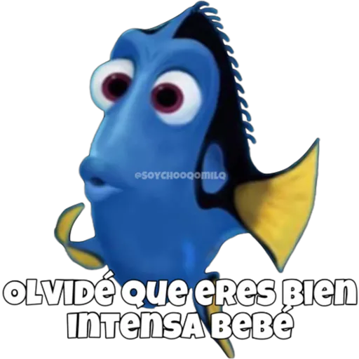 Dory olvidadiza 14