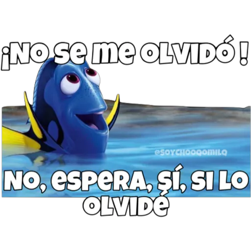 Dory olvidadiza 16