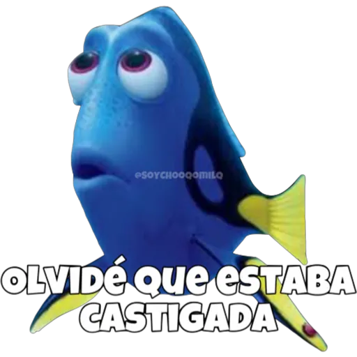 Dory olvidadiza 17