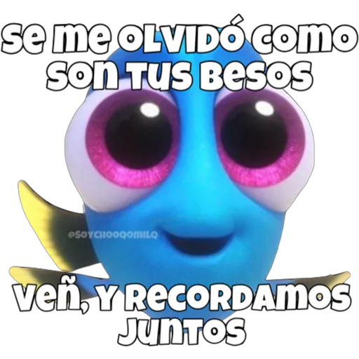 Dory olvidadiza 19