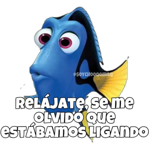 Dory olvidadiza 20