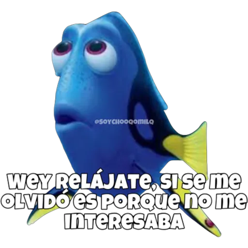 Dory olvidadiza 21