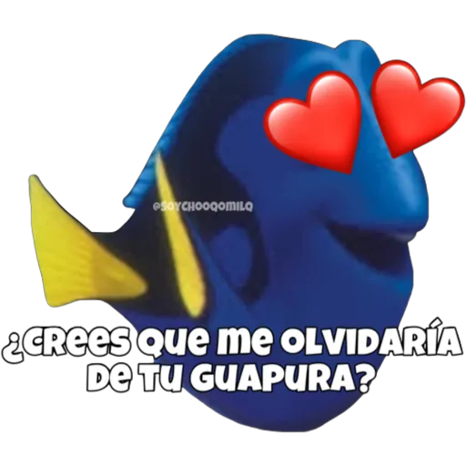 Dory olvidadiza 24
