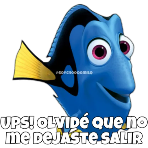 Dory olvidadiza 28