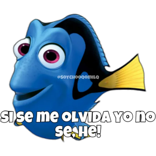 Dory olvidadiza 29