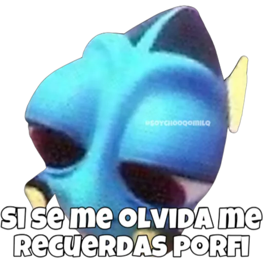 Dory olvidadiza 30