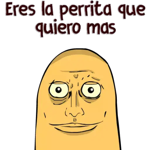 Bola de carne 10