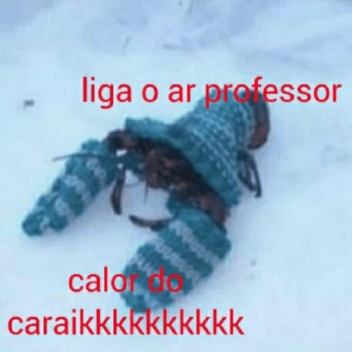 Nacaré 5