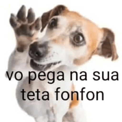 Nacaré 29