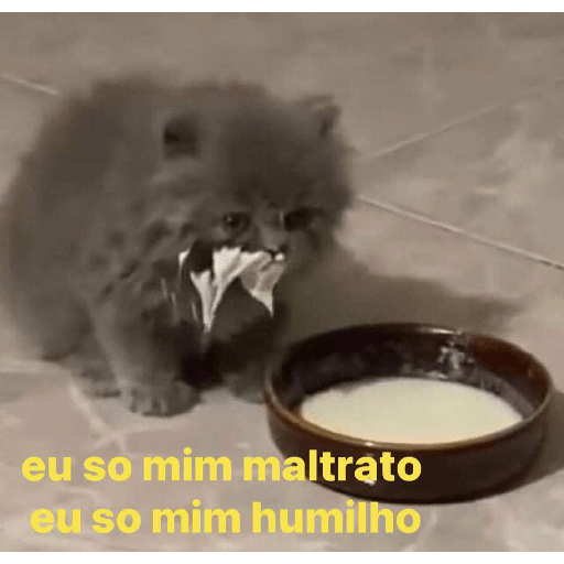 Nacaré 11