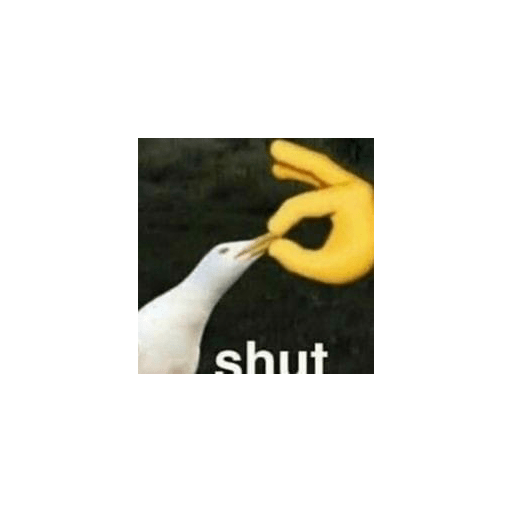Xd? 1